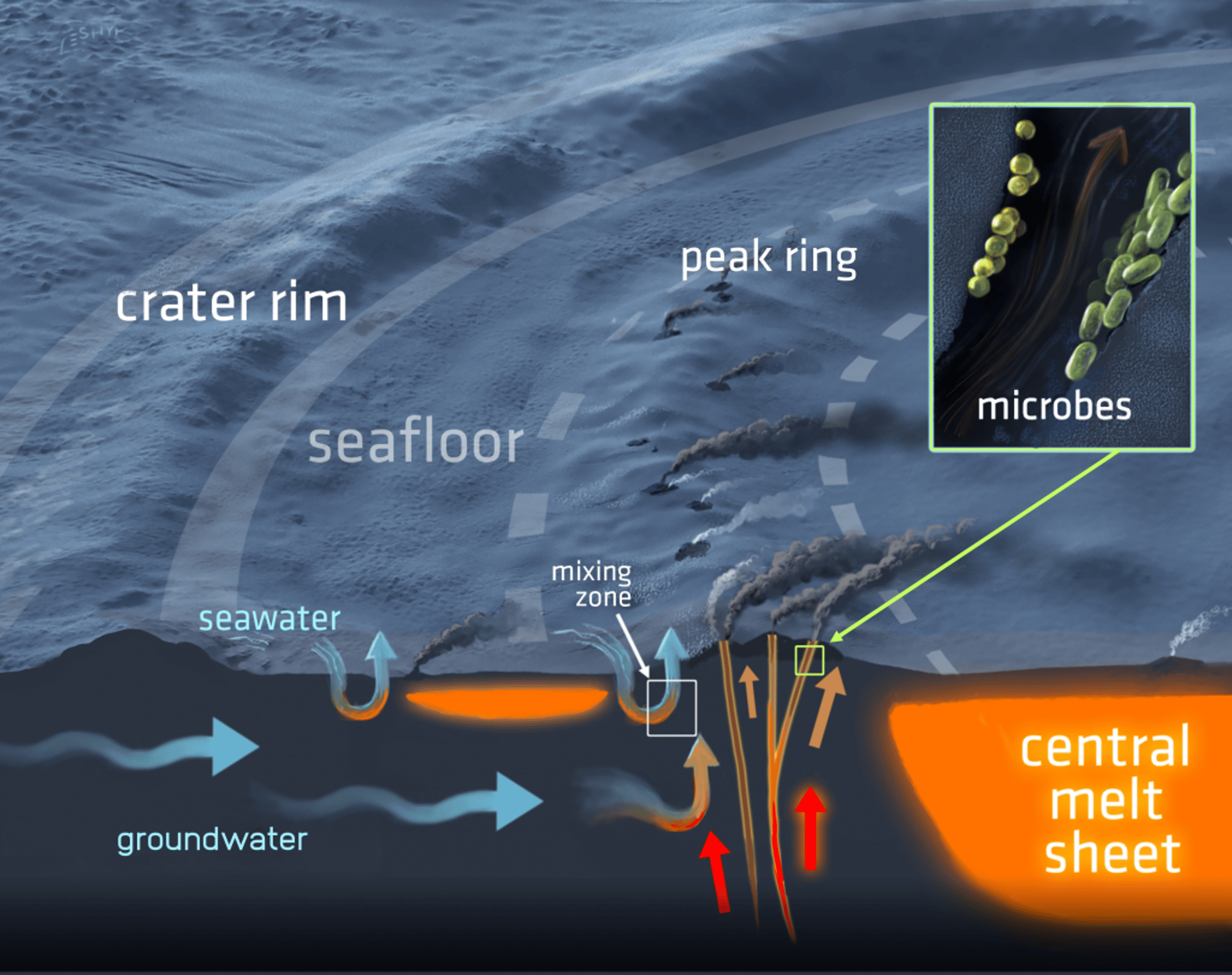 Chicxulub hydrothermal vent