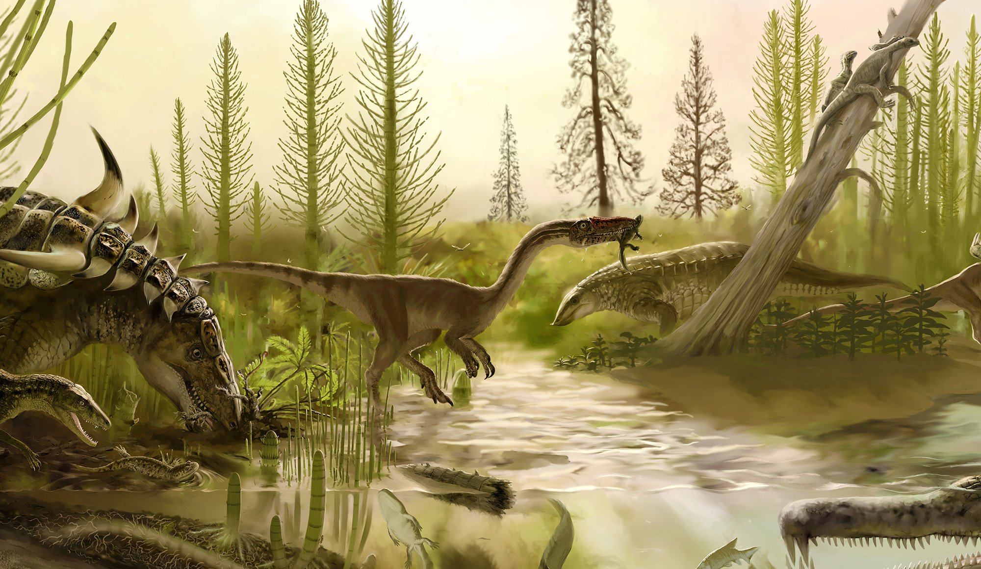 Triassic backwater floodplain